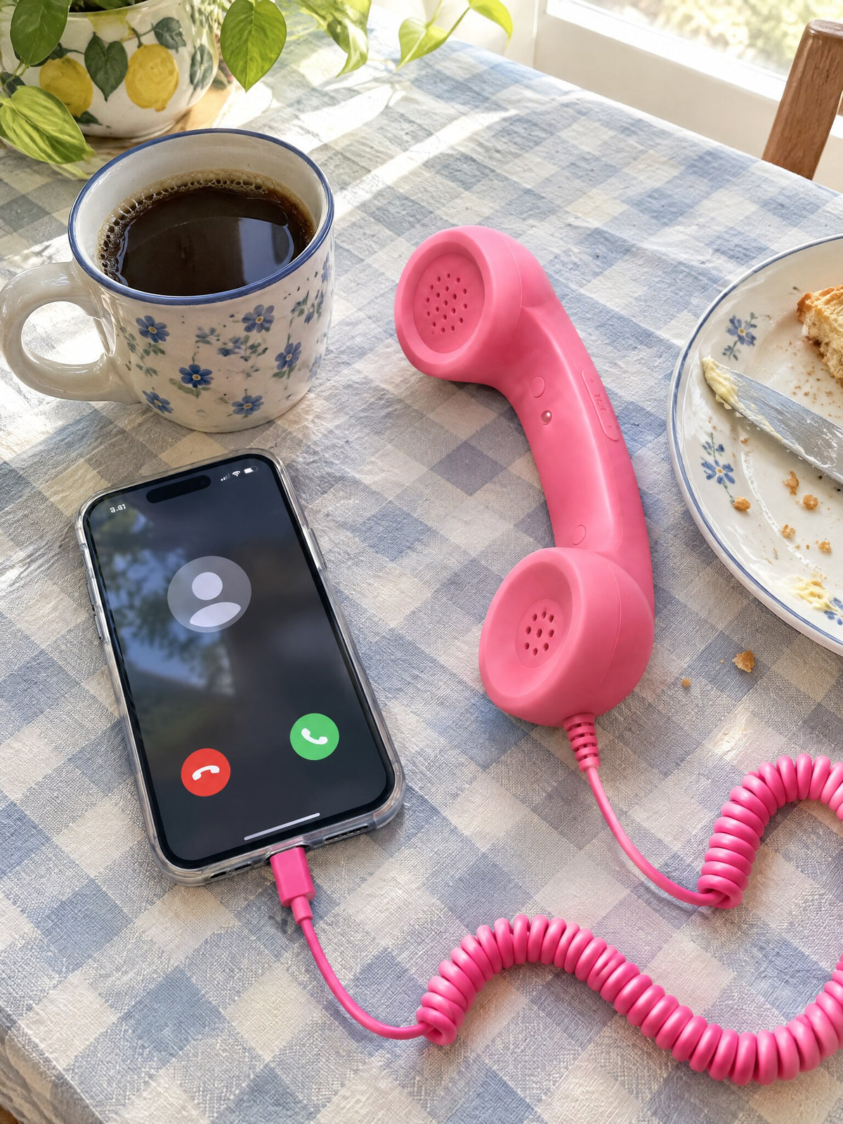 DialBop